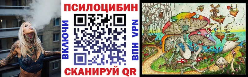 Псилоцибиновые грибы Cubensis Новая Усмань